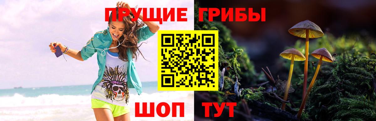 Грязи  Галлюциногенные грибы MAGIC MUSHROOMS  купить наркоту  Вход с VPN 